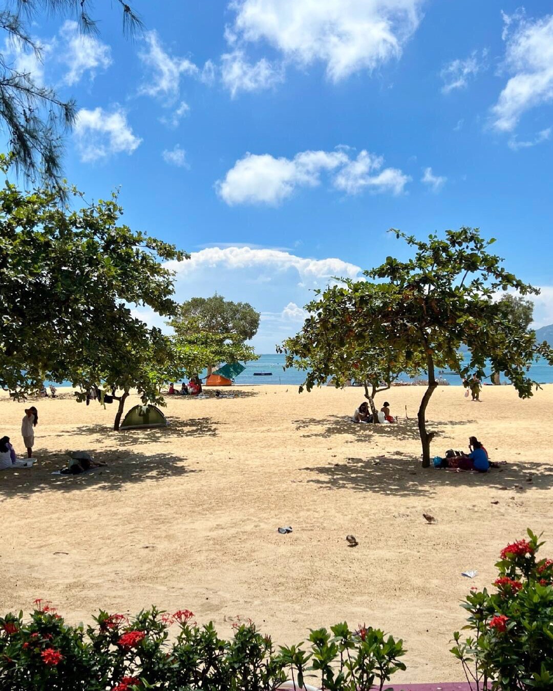 海洋精選
